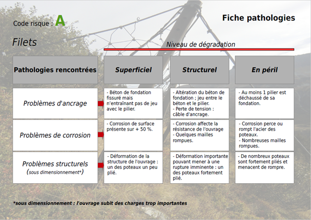 Fiche pathologie